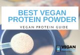 best vegan protein guide